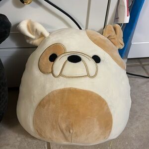 Squishmallows Bulldog Cream